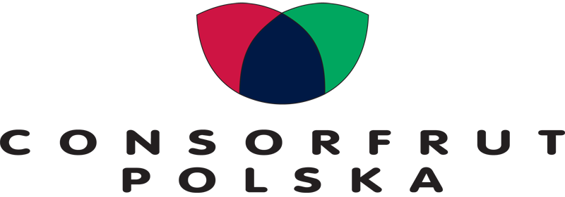 consorfut